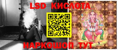 сатива Краснодар