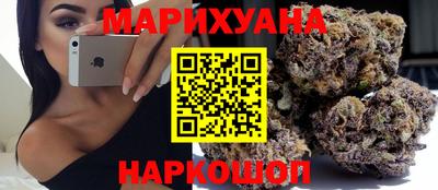 сатива Краснодар