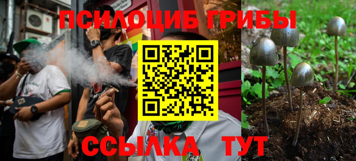 Галлюциногенные грибы GOLDEN TEACHER Черкесск